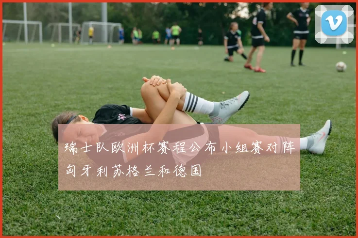 瑞士队欧洲杯赛程公布小组赛对阵匈牙利苏格兰和德国