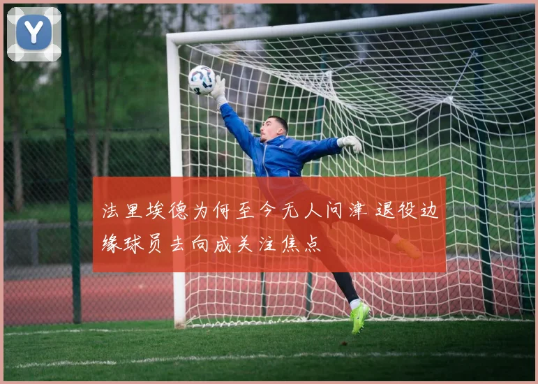 法里埃德为何至今无人问津 退役边缘球员去向成关注焦点